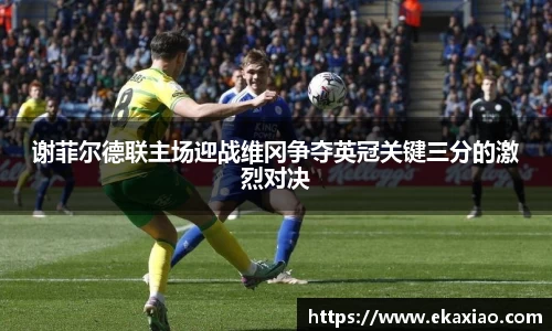 谢菲尔德联主场迎战维冈争夺英冠关键三分的激烈对决